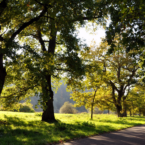 Wanderweg Siegburg