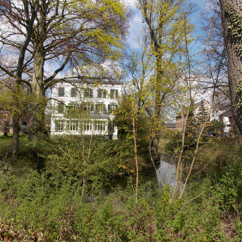 Weiße Burg Front mit Bäumen