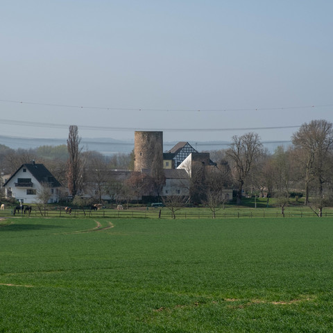 Ansicht Burganlage mit Reiterhof
