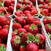 Wochenmarkt Steyerberg