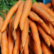 Wochenmarkt Windheim