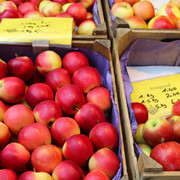 Wochenmarkt Petershagen