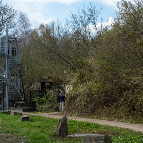Aussichtsturm Dächelsberg