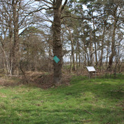 Landwehr bei Hülsen