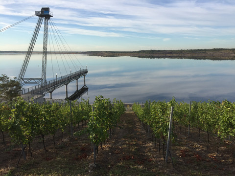 Seebrücke mit Weinberg