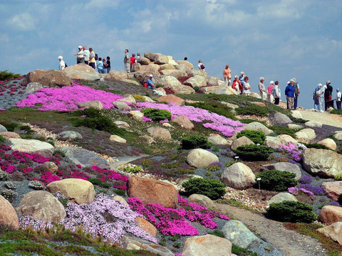 Findlingspark Nochten