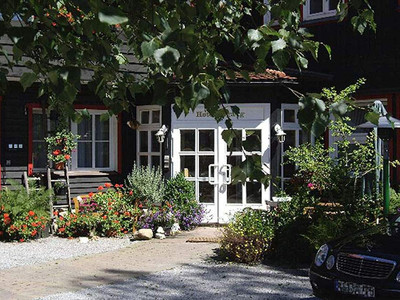 Grüne Tanne Mandelholz - Garten