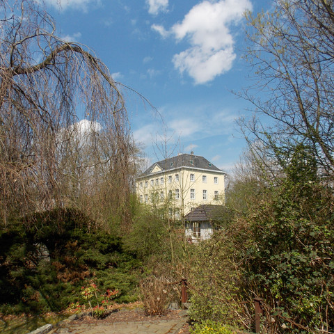 Graue Burg mit Bäumen