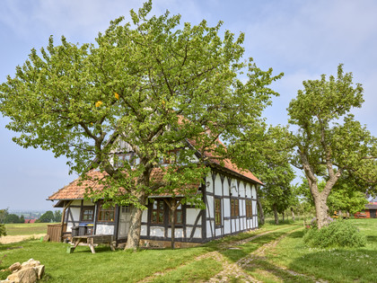 Mühle Hedeper Mühle Hedeper