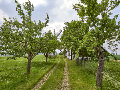 Mühle Hedeper Mühle Hedeper