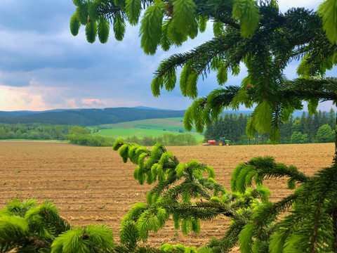 Firstenweg bei Crottendorf mit Blick Richtung Crottendorf