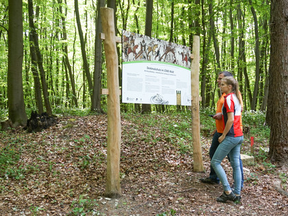 An der Alten Burg Warberg