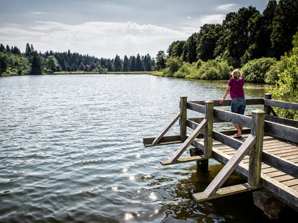 Oberharzer Wasserwirtschaft