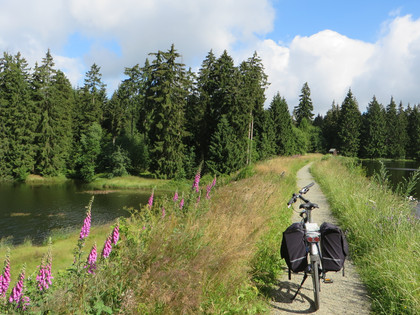 Radtour am Oberharzer Wasserregal