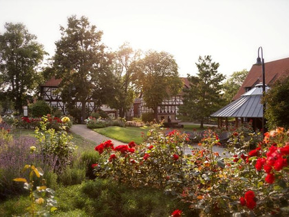 Blick auf den Rosengarten Salzgitter-Bad mit Gradierpavillon