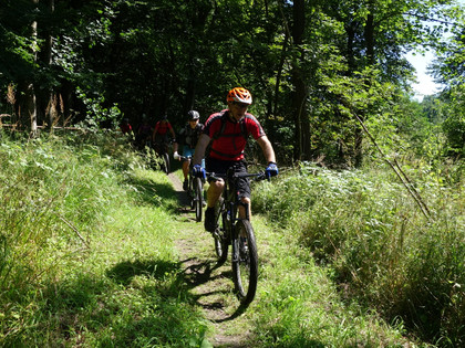 Trail ins Reitlingstal