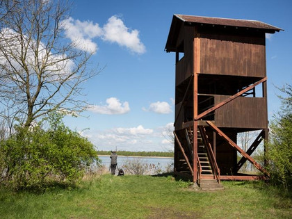 Vogelbeobachtungsturm am Heerter See