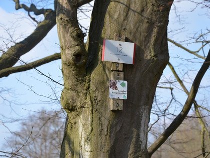 Ausschilderung Geopfad Salzgitter-Bad