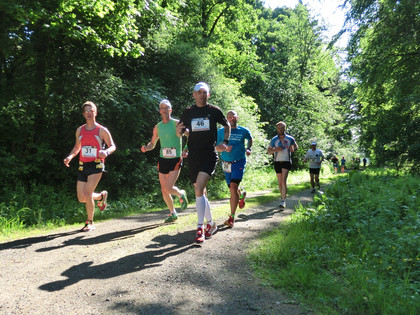 Auf dem Bierweg im Elm