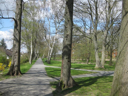 Terrainkurweg Salzgitter-Bad, Onkel-Stoot-Route