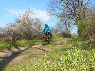 Auf dem Harzer Grenzweg bei Isingerode