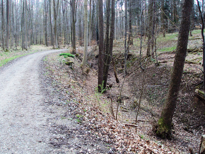 Salzgitter-Bad, Bachbett am Wanderweg Nr.4
