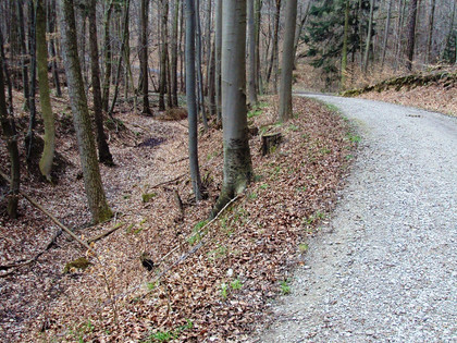 Salzgitter-Bad, Biegungsverlauf Wanderweg Nr. 4