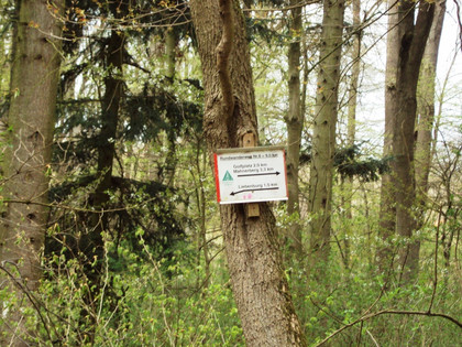 Wanderweg Nr. 6 bei Liebenburg