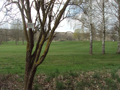 Salzgitter-Bad, Wanderwege 6 und 7 beim Golfplatz