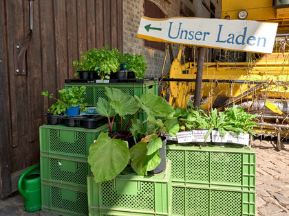 Impressionen aus dem Nördlichen Harzvorland, Niedersachsen, Deutschland Impressionen aus dem Nördlichen Harzvorland, Niedersachsen, Deutschland