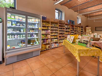 Impressionen aus dem Nördlichen Harzvorland, Niedersachsen, Deutschland Impressionen aus dem Nördlichen Harzvorland, Niedersachsen, Deutschland