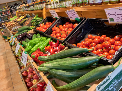 Impressionen aus dem Nördlichen Harzvorland, Niedersachsen, Deutschland Impressionen aus dem Nördlichen Harzvorland, Niedersachsen, Deutschland