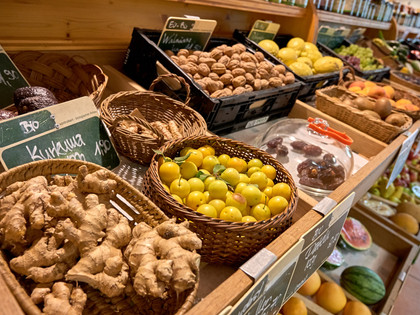 Impressionen aus dem Nördlichen Harzvorland, Niedersachsen, Deutschland Impressionen aus dem Nördlichen Harzvorland, Niedersachsen, Deutschland