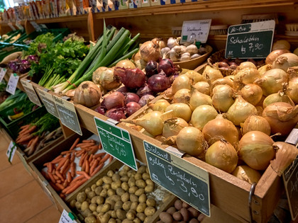 Impressionen aus dem Nördlichen Harzvorland, Niedersachsen, Deutschland Impressionen aus dem Nördlichen Harzvorland, Niedersachsen, Deutschland