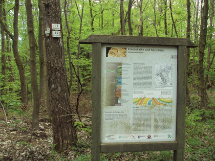 Infotafel Geopfad Salzgitter-Bad am Knotenpunkt der Wanderwege 11 und 12
