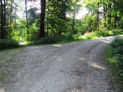 Salzgitter Höhenzug, Untergrund Wanderweg 23