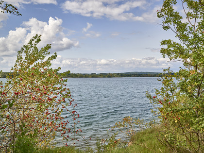 Vogelbeobachtungsturm Kiesteich Isingerode Vogelbeobachtungsturm Kiesteich Isingerode