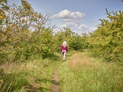 Vogelbeobachtungsturm Kiesteich Isingerode Vogelbeobachtungsturm Kiesteich Isingerode