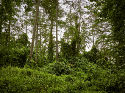 Erlebnissteinbruch Evessen Erlebnissteinbruch Evessen