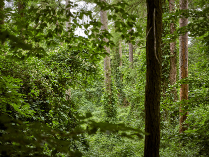Erlebnissteinbruch Evessen Erlebnissteinbruch Evessen