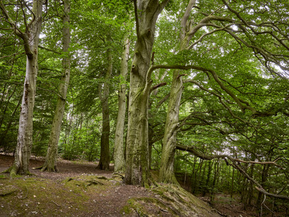 Erlebnissteinbruch Evessen Erlebnissteinbruch Evessen