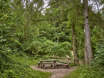 Erlebnissteinbruch Evessen Erlebnissteinbruch Evessen