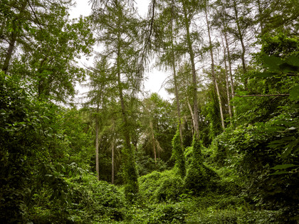 Erlebnissteinbruch Evessen Erlebnissteinbruch Evessen