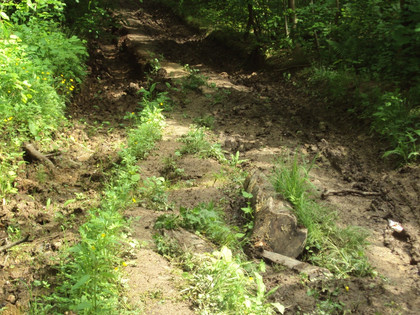 Salzgitter, weiterer morastiger Aufstieg zum Kammweg Wanderweg Nr. 15
