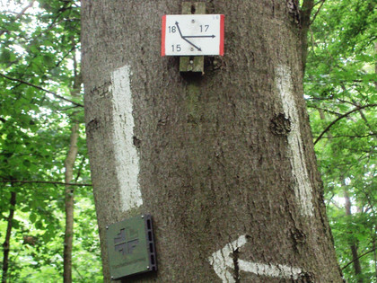 Salzgitter-Bad, große Wegekreuzung auf dem Knickelnberg Wanderwege 15, 17 und 18