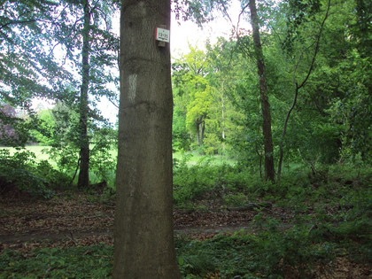 Salzgitter-Bad, Waldweg 13 und 15 hinter Lichtung