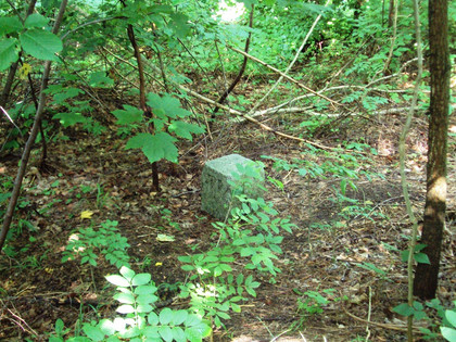 Salzgitter Höhenzug, Wanderwege 21 und 22 Adlershorst