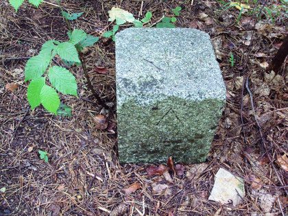 Salzgitter Höhenzug, Wanderwege 21 und 22 Trigonometrischer Stein beim Adlershorst