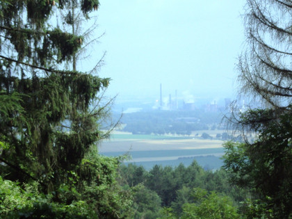 Salzgitter Höhenzug, Wanderwege 21 und 22 Ausblick vom Kammweg