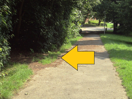 Salzgitter-Gebhardshagen, Wanderweg 22 Abzweig vom Baumlehrpfad aus